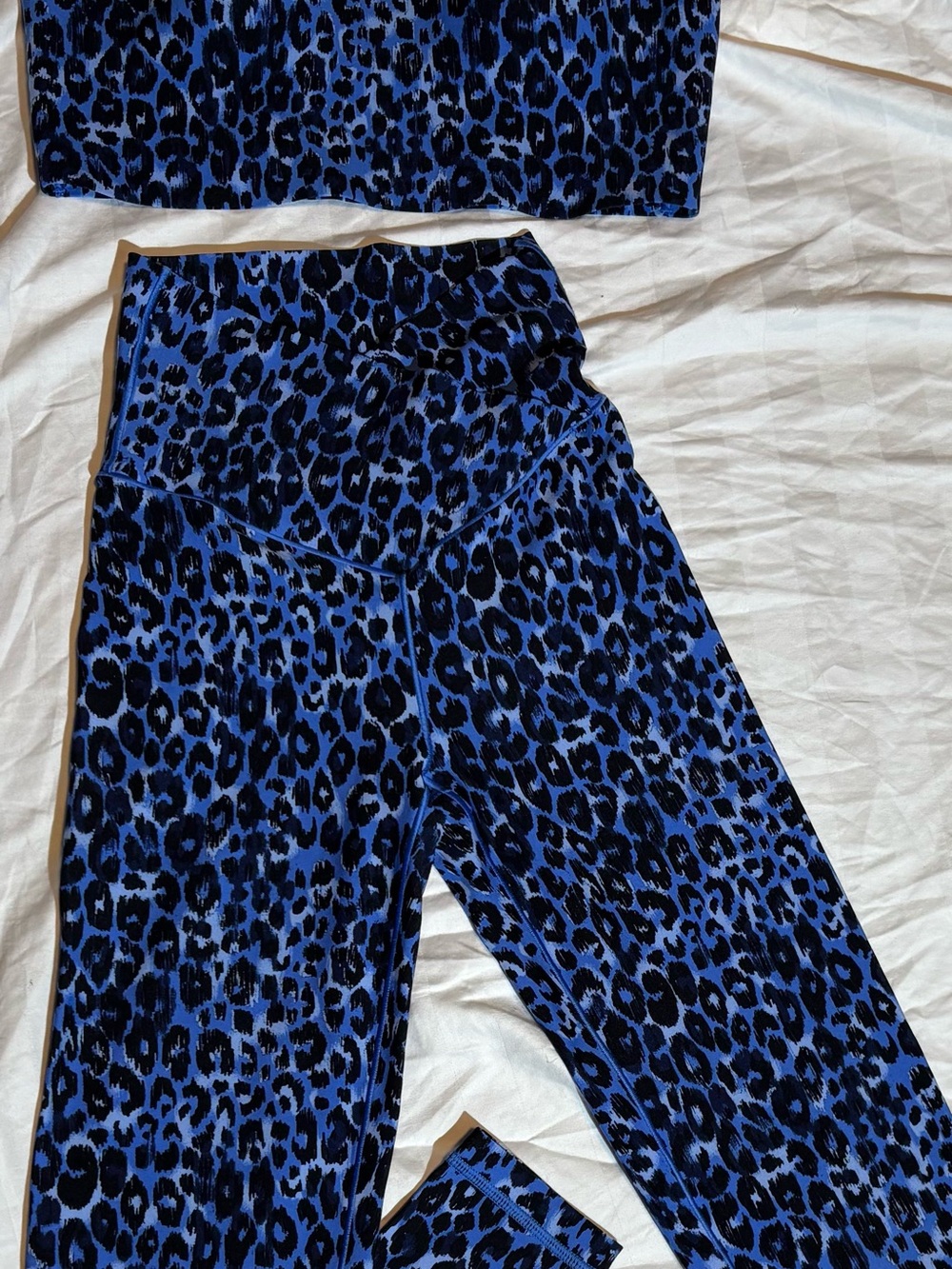 Aerie  Blue and Black Leopard Print Bra & High-Waist Leggings